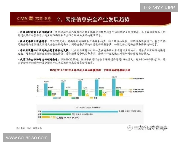 AG电投网2024年度最新发展动态，行业专家深度分析未来发展趋势