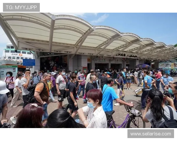 如何快速找到k8凯发国际最新网址，详细攻略助你轻松登录畅玩无限